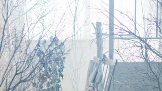 【重要】ウェブサイトリニューアルと価格改定、サービス内容向上のご案内